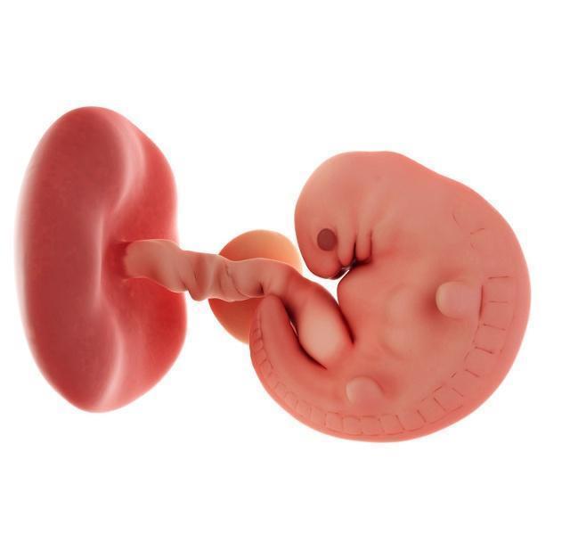 受孕多久后能看到孕囊？孕检B超发现空胎囊要怎么办？先弄清原因