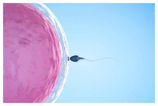 精子的移动速度有多快？到达子宫需要的时间，希望你早早了解