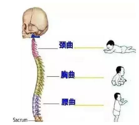 婴儿手推车该如何正确选购？选错了，会影响宝宝脊椎发育