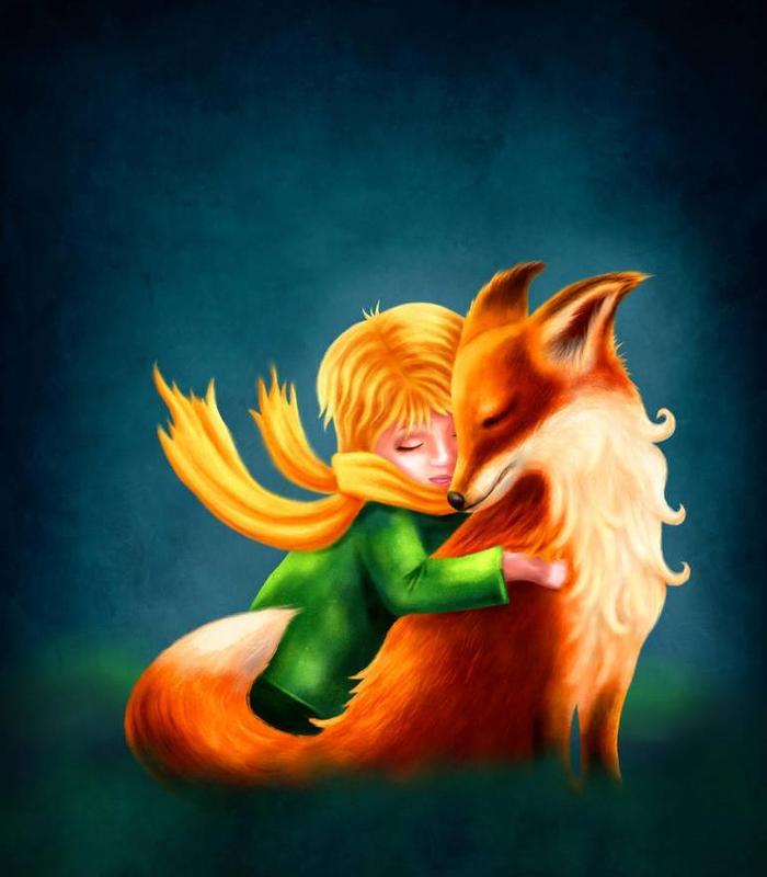 小王子，你更应该爱的是狐狸而不是玫瑰