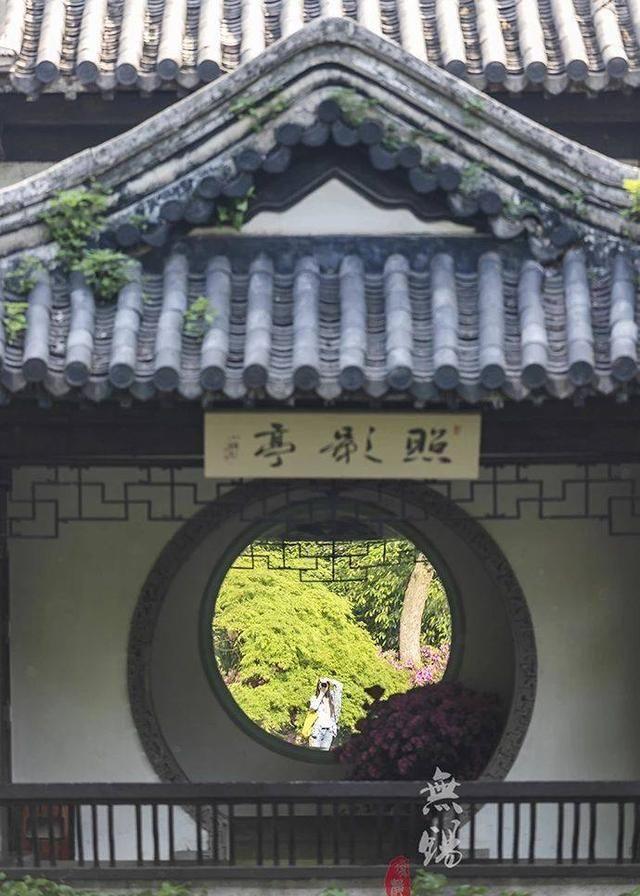 跟女神汤唯一起，去中国杜鹃园拍一部古装大戏