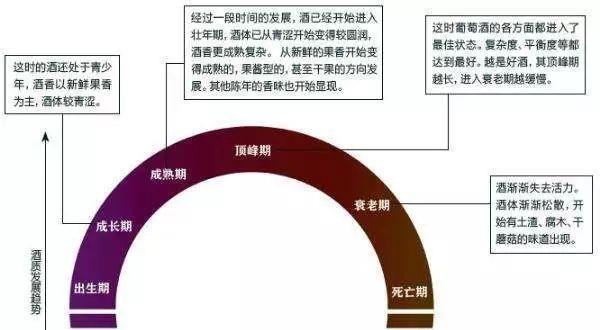 葡萄酒投资超汽车、艺术品，这几点建议让你从小白投资变行家