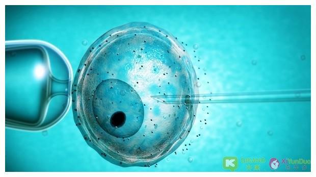 试管移植后胚胎不能成功着床是受到哪些因素的影响