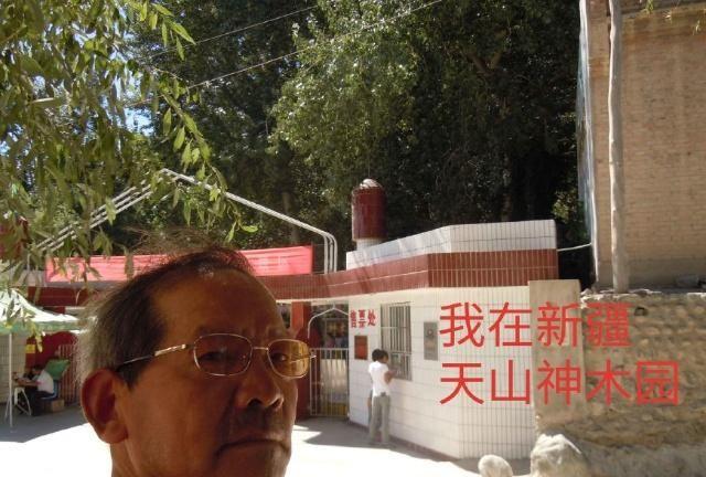 中华之罕物民族之象征-新疆温宿县天山神木园游览