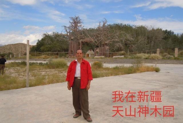 中华之罕物民族之象征-新疆温宿县天山神木园游览
