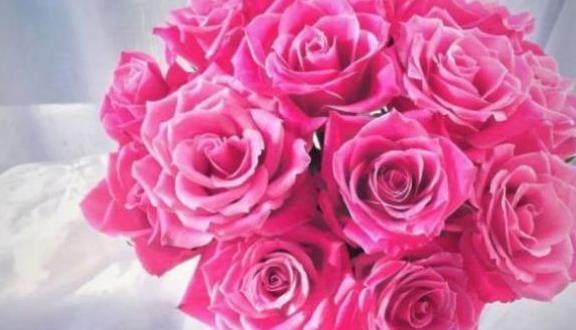 “珍稀玫瑰”泰姬，如月下美姬，清秀淡雅，可以说是养花首选！