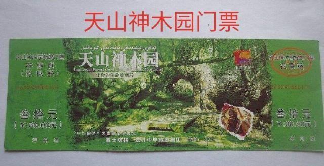 中华之罕物民族之象征-新疆温宿县天山神木园游览
