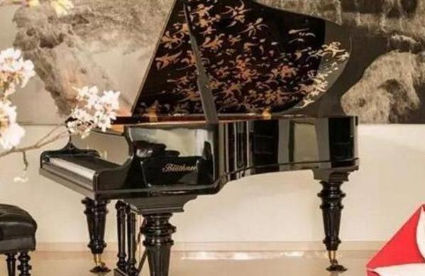 带你看看陈数的豪宅，家里放着名贵钢琴，客厅布置像个演奏厅