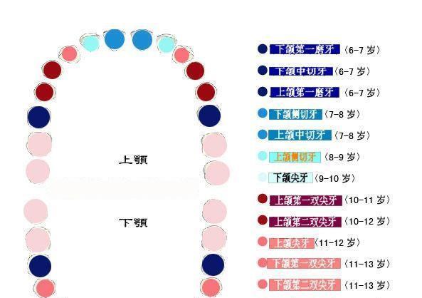 换牙期儿童怎样让牙齿长得整齐？做到这5点，孩子牙齿亮晶晶