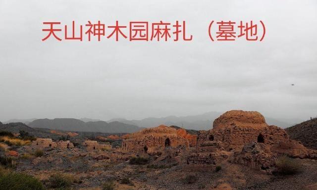 中华之罕物民族之象征-新疆温宿县天山神木园游览