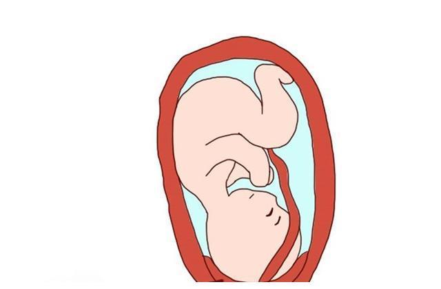 怀孕，胎盘位于前壁，可以经常散步吗？散步时间大概多久合适？