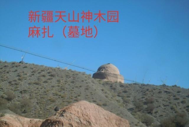 中华之罕物民族之象征-新疆温宿县天山神木园游览