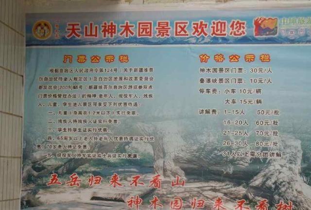 中华之罕物民族之象征-新疆温宿县天山神木园游览