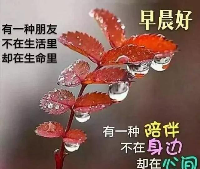 特温馨周五早上好问候图片，适合发朋友圈，祝你百事可乐