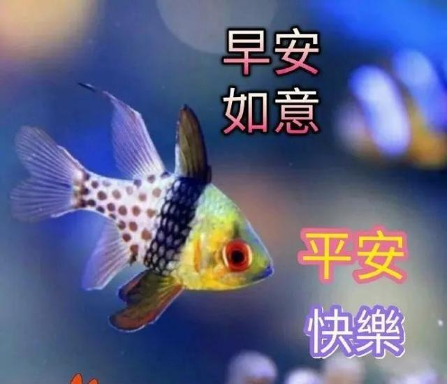 特温馨周五早上好问候图片，适合发朋友圈，祝你百事可乐