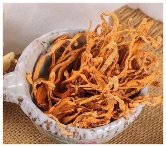 虫草花怎么吃？凉拌热炒还煲汤，快来学几招