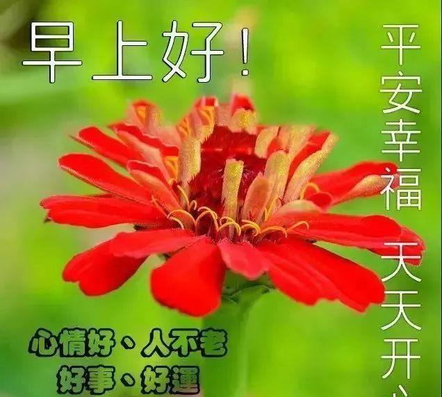 特温馨周五早上好问候图片，适合发朋友圈，祝你百事可乐