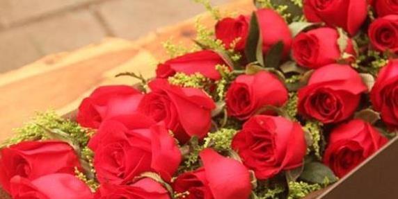 “珍稀玫瑰”卡罗拉，娇艳欲滴，寓意炽热的爱情，可以说养花首选