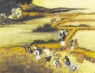从《齐民要术》入手，谈谈中国古代华北地区农耕技术的突破发展