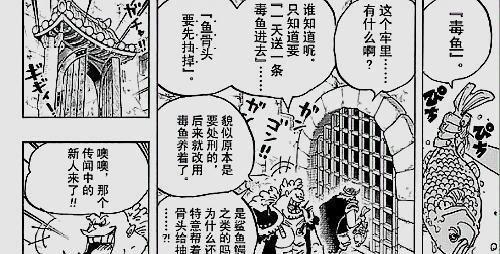 海贼王漫画：海贼洛克斯被囚和之国监狱日日毒鱼喂食