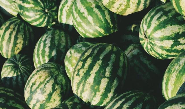 怎样使西瓜变甜种西瓜需要知道的5个技巧