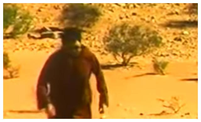 两位日本的动画大师，宫崎骏和庵野秀明，居在撒哈拉沙漠奇迹会面