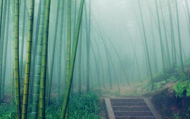 七首开悟禅诗：人生到处知何似，应似飞鸿踏雪泥