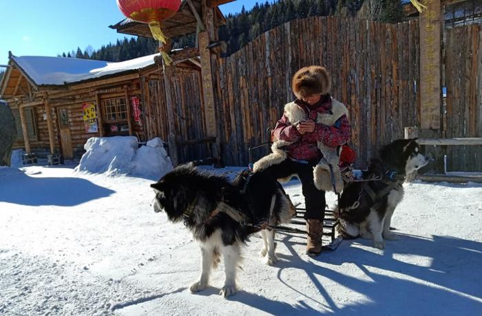 雪乡“贫雪”，没雪的雪乡游客稀少，村民心急如焚