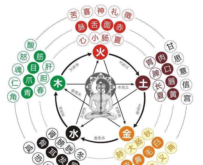 木命人和什么命最相配