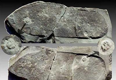 史前文明存在的证据：踩在三叶虫化石上的脚印，20亿年前反应堆