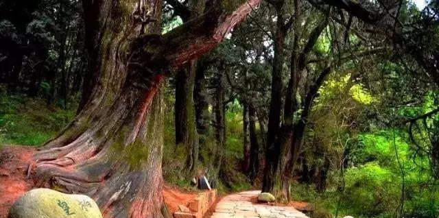 首批10大天府旅游名县，都有些什么绝世佳景