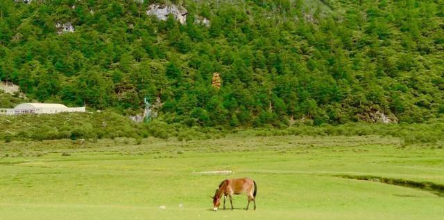 首批10大天府旅游名县，都有些什么绝世佳景