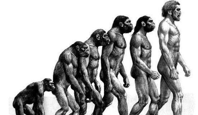 达尔文生物进化论误导了多少无辜的人民