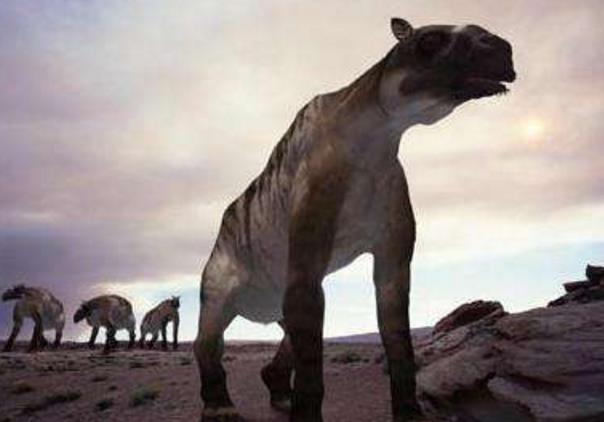 神农架传闻“驴头狼”出现，到底是什么动物？和这种远古动物太像