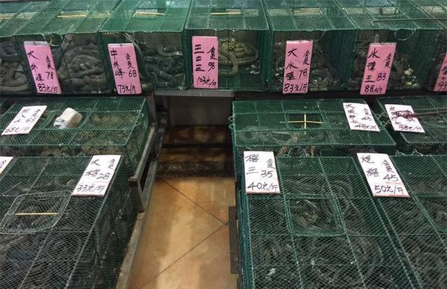 广州番禺荔城美食店，堪称食蛇专门店，以吃蛇闻名。