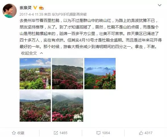 亮相戛纳国际电影节，成为“中国最美外景地”！百里杜鹃又火了！