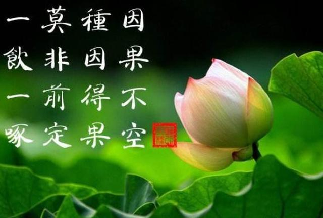 为什么说《地藏菩萨本愿经》是消业最快的一部经？