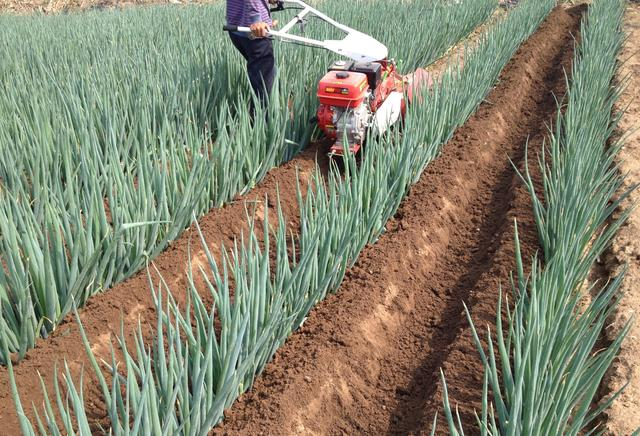 微耕机十大名牌推荐 最建议买的三款微耕机