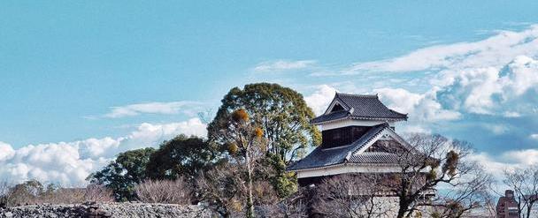 日本著名三大名城之一，又被称为银杏城，因熊本熊闻名世界