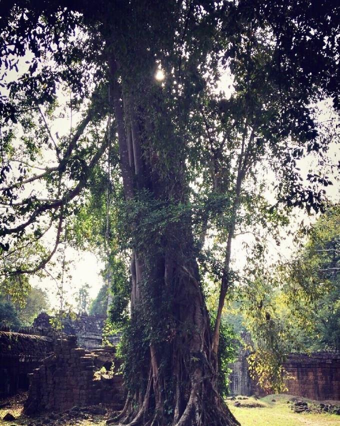 柬埔寨：涅槃宫- 圣剑寺 -巴戎寺