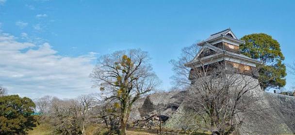 日本著名三大名城之一，又被称为银杏城，因熊本熊闻名世界