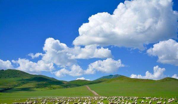 孝庄文皇后的出生地科尔沁草原，中国最美草原之一，太美啦
