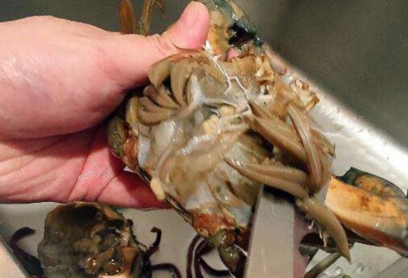 清洗活螃蟹夹手怎么办？教你洗螃蟹不被夹手的4个窍门，值得尝试