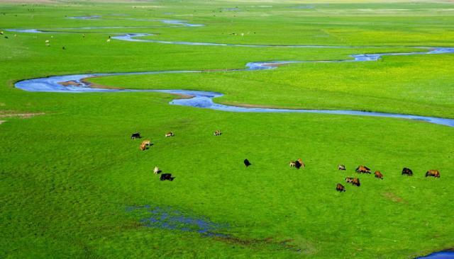 孝庄文皇后的出生地科尔沁草原，中国最美草原之一，太美啦