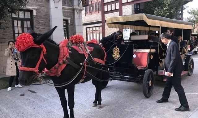 山东十大文化旅游目的地踩线团把脉聊城：一座阿胶城，撑起半边天