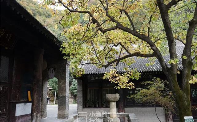 西安秦岭深处千年古寺，从山门到大殿要走1小时！却藏绝美风光