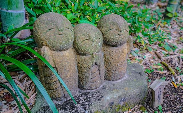 日本镰仓长谷寺庭院，到底藏有几座良缘地藏石像，你全都找到了么