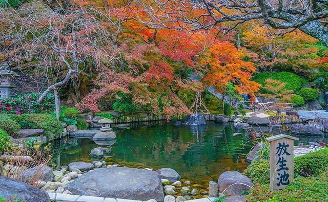 日本镰仓长谷寺庭院，到底藏有几座良缘地藏石像，你全都找到了么