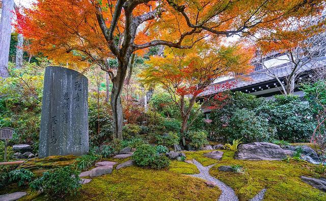 日本镰仓长谷寺庭院，到底藏有几座良缘地藏石像，你全都找到了么