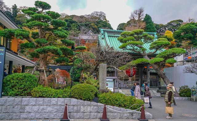 日本镰仓长谷寺庭院，到底藏有几座良缘地藏石像，你全都找到了么